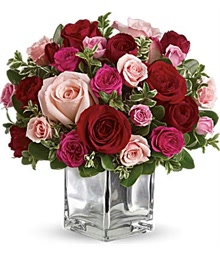 Gorgeous Roses
